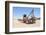 Cementerio De Trenes (Train Cemetery), Salar De Uyuni, Bolivia-Elzbieta Sekowska-Framed Photographic Print