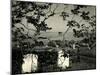 Cemetery and Tree, California, 1955-Brett Weston-Mounted Premium Photographic Print