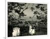 Cemetery and Tree, California, 1955-Brett Weston-Framed Photographic Print