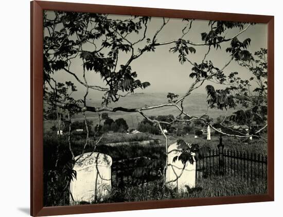 Cemetery and Tree, California, 1955-Brett Weston-Framed Photographic Print