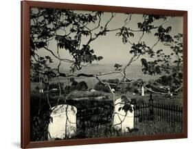 Cemetery and Tree, California, 1955-Brett Weston-Framed Photographic Print