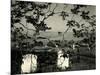 Cemetery and Tree, California, 1955-Brett Weston-Mounted Photographic Print