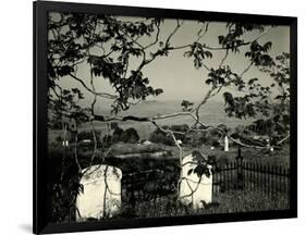 Cemetery and Tree, California, 1955-Brett Weston-Framed Photographic Print