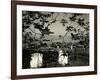 Cemetery and Tree, California, 1955-Brett Weston-Framed Photographic Print