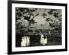 Cemetery and Tree, California, 1955-Brett Weston-Framed Photographic Print