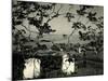 Cemetery and Tree, California, 1955-Brett Weston-Mounted Photographic Print