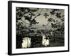 Cemetery and Tree, California, 1955-Brett Weston-Framed Photographic Print