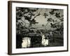 Cemetery and Tree, California, 1955-Brett Weston-Framed Photographic Print