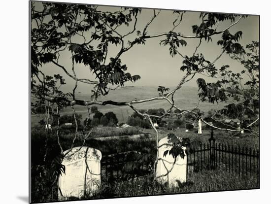 Cemetery and Tree, California, 1955-Brett Weston-Mounted Photographic Print