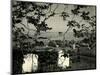 Cemetery and Tree, California, 1955-Brett Weston-Mounted Photographic Print