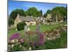 Cemetery at the Small Village of Snowhill, in the Cotswolds, Gloucestershire, England, UK-Nigel Francis-Mounted Photographic Print