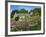 Cemetery at the Small Village of Snowhill, in the Cotswolds, Gloucestershire, England, UK-Nigel Francis-Framed Photographic Print