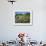 Cemetery at the Small Village of Snowhill, in the Cotswolds, Gloucestershire, England, UK-Nigel Francis-Framed Photographic Print displayed on a wall