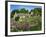 Cemetery at the Small Village of Snowhill, in the Cotswolds, Gloucestershire, England, UK-Nigel Francis-Framed Photographic Print