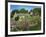 Cemetery at the Small Village of Snowhill, in the Cotswolds, Gloucestershire, England, UK-Nigel Francis-Framed Photographic Print