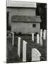 Cemetery, c.1950-Brett Weston-Mounted Photographic Print