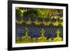 Cemetery in Andratx, Majorca, the Balearic Islands, Spain-Rainer Mirau-Framed Photographic Print