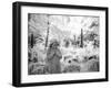 Cemetery in London-Craig Roberts-Framed Photographic Print