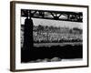 Cemetery, New York, 1943-Brett Weston-Framed Photographic Print