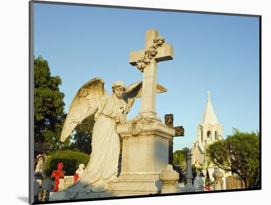 Cemetery, San Salvador, El Salvador, Central America-Christian Kober-Mounted Photographic Print