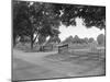 Cemetery Where Actor James Dean is Buried-null-Mounted Photographic Print