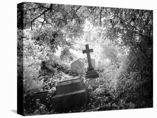 Cemetery with Cross-Craig Roberts-Stretched Canvas