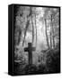 Cemetery with Gravestone-Craig Roberts-Framed Stretched Canvas