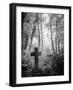 Cemetery with Gravestone-Craig Roberts-Framed Photographic Print