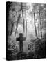 Cemetery with Gravestone-Craig Roberts-Stretched Canvas