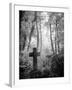 Cemetery with Gravestone-Craig Roberts-Framed Photographic Print