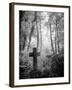 Cemetery with Gravestone-Craig Roberts-Framed Photographic Print