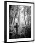 Cemetery with Gravestone-Craig Roberts-Framed Photographic Print