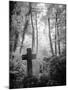 Cemetery with Gravestone-Craig Roberts-Mounted Photographic Print