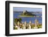 Cemetery with St. Michael's Mount in the Background, Cornwall, England, United Kingdom, Europe-Miles Ertman-Framed Photographic Print