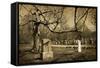 Cemetery-pink candy-Framed Stretched Canvas