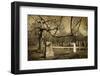 Cemetery-pink candy-Framed Photographic Print