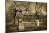 Cemetery-pink candy-Mounted Photographic Print