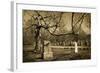 Cemetery-pink candy-Framed Photographic Print