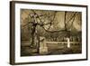 Cemetery-pink candy-Framed Photographic Print