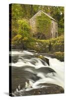 Cenarth Waterfalls, Carmarthenshire, Wales, United Kingdom, Europe-Billy Stock-Stretched Canvas