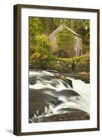 Cenarth Waterfalls, Carmarthenshire, Wales, United Kingdom, Europe-Billy Stock-Framed Photographic Print