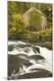 Cenarth Waterfalls, Carmarthenshire, Wales, United Kingdom, Europe-Billy Stock-Mounted Photographic Print