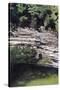 Cenote at Chichen-Itza (Diptych) I, 2003-Pedro Diego Alvarado-Stretched Canvas