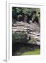 Cenote at Chichen-Itza (Diptych) I, 2003-Pedro Diego Alvarado-Framed Giclee Print