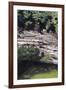 Cenote at Chichen-Itza (Diptych) I, 2003-Pedro Diego Alvarado-Framed Giclee Print