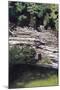 Cenote at Chichen-Itza (Diptych) I, 2003-Pedro Diego Alvarado-Mounted Giclee Print