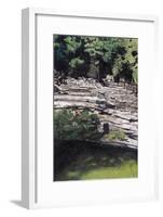 Cenote at Chichen-Itza (Diptych) I, 2003-Pedro Diego Alvarado-Framed Giclee Print