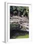 Cenote at Chichen-Itza (Diptych) I, 2003-Pedro Diego Alvarado-Framed Giclee Print