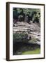 Cenote at Chichen-Itza (Diptych) I, 2003-Pedro Diego Alvarado-Framed Giclee Print