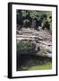 Cenote at Chichen-Itza (Diptych) I, 2003-Pedro Diego Alvarado-Framed Giclee Print